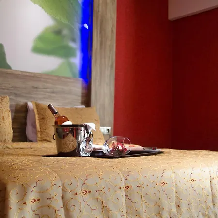 Delfi & Wellness Center Hotel 3*