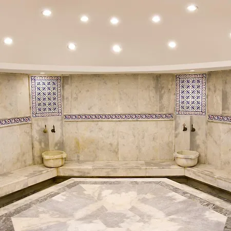 Delfi & Wellness Center מלון בודרום