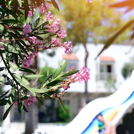 Hotel Delfi & Wellness Center