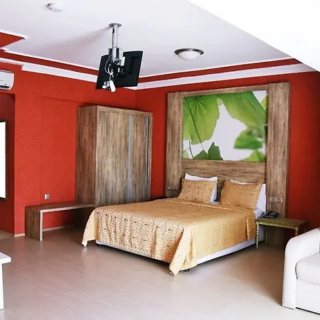 Delfi & Wellness Center 3*