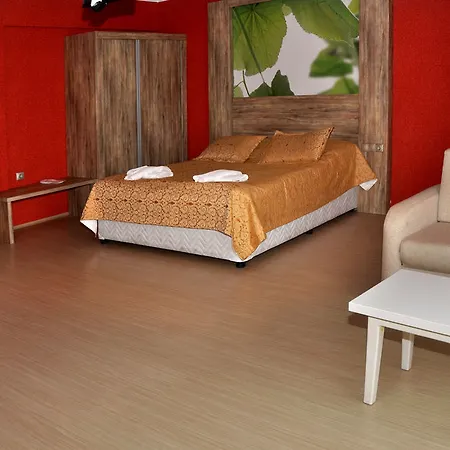 Hotel Delfi & Wellness Center 3*