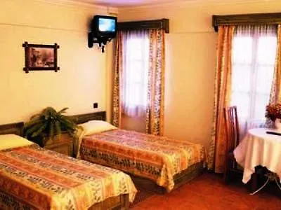 Delfi & Wellness Center Αλικαρνασσός