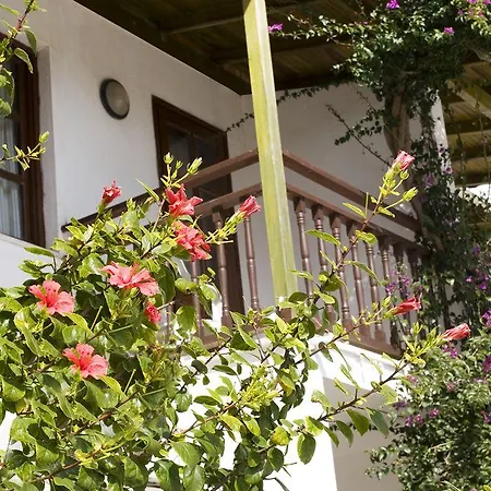 Delfi Spa&wellness Center