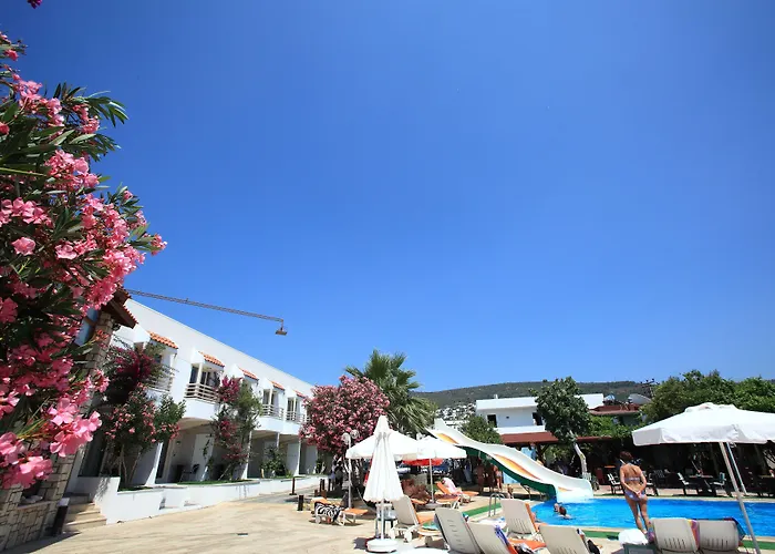 酒店 Delfi & Wellness Center 3*