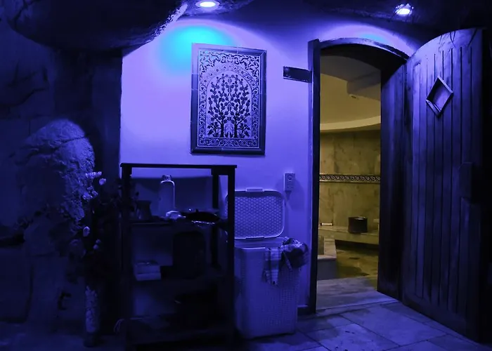 酒店 Delfi & Wellness Center 3*